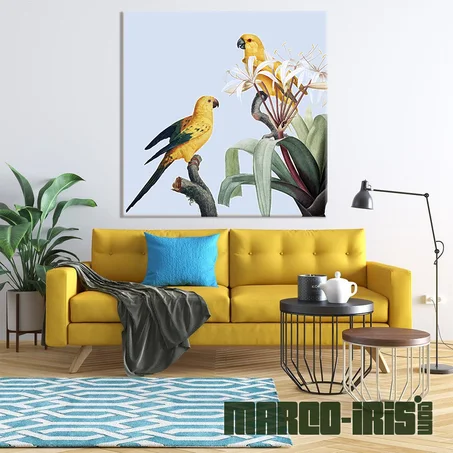 TROPICAL PARROT