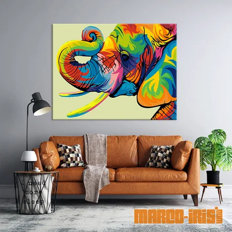 COLORFUL ELEPHANT