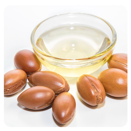 اركــــــان