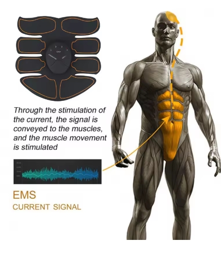 أخلاقي العضلات الكهربائية EMS اللاسلكي ، الورك ، الأرداف ، مدرب البطن ، طاقة التخسيس للجسم