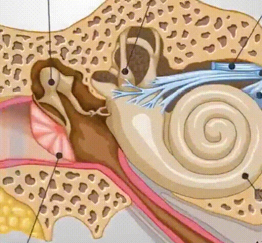 详情_08.gif