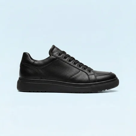 SHAUSSURES