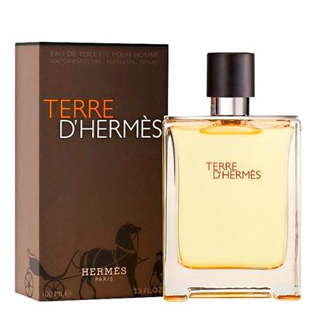 Teггe D'Heгmes Pour Hommes 100ml