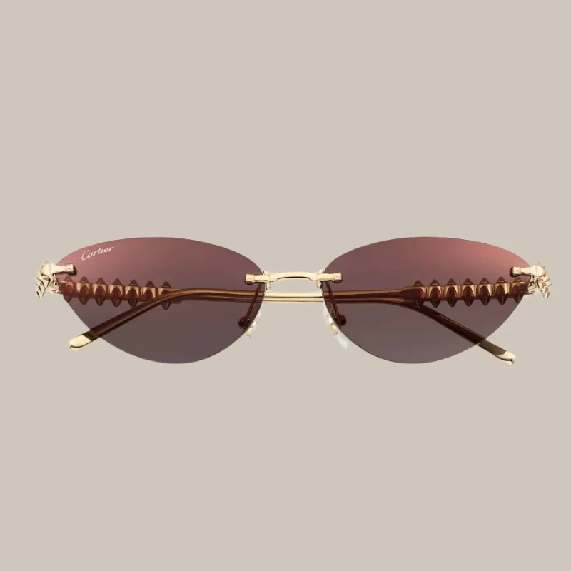 Lunettes Cartier Spike élégante