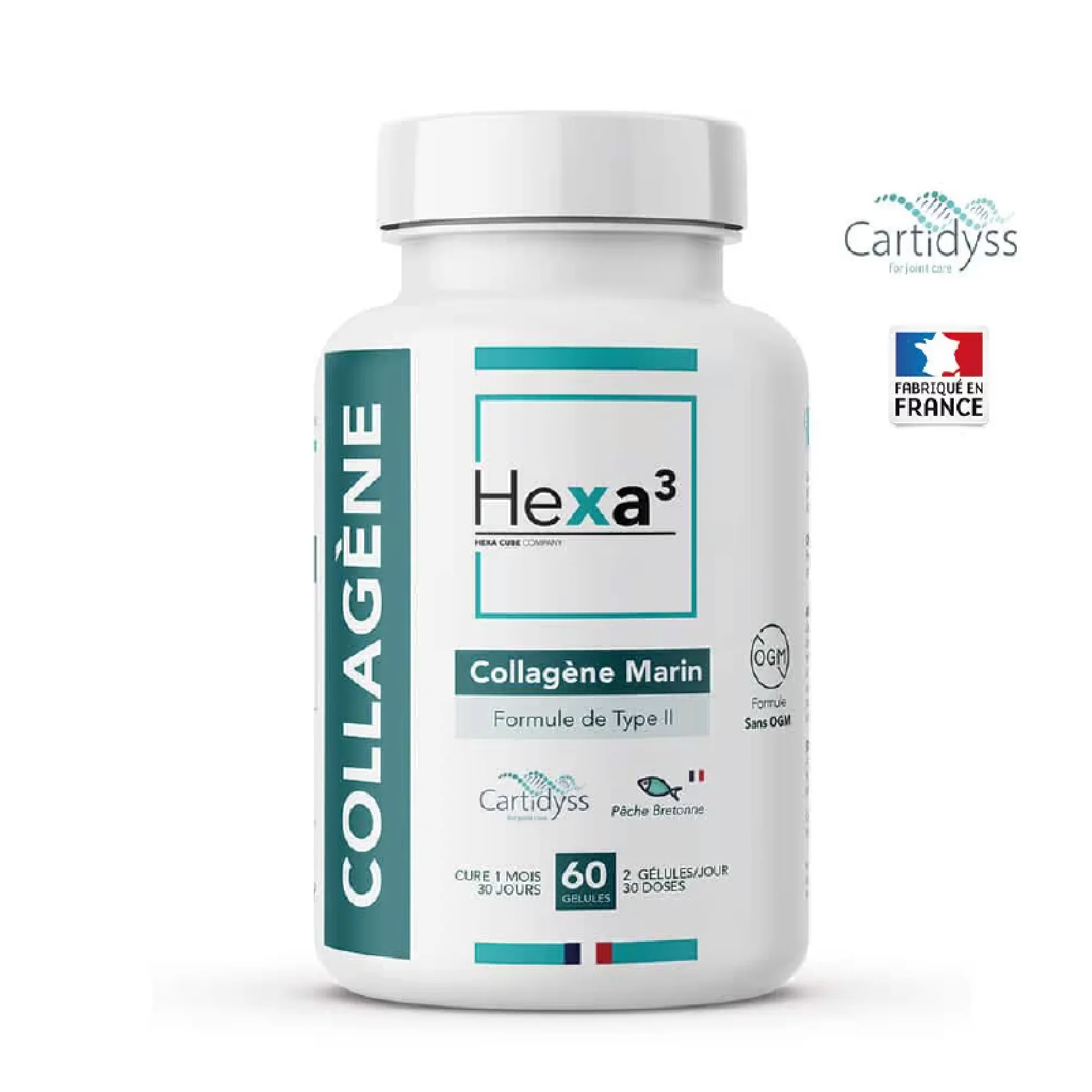 Collagène Marin Type II Cartidyss® – Articulations et Peau