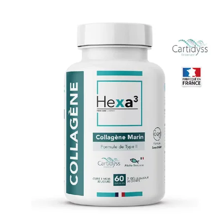 Collagène Marin Type II Cartidyss® – Articulations et Peau