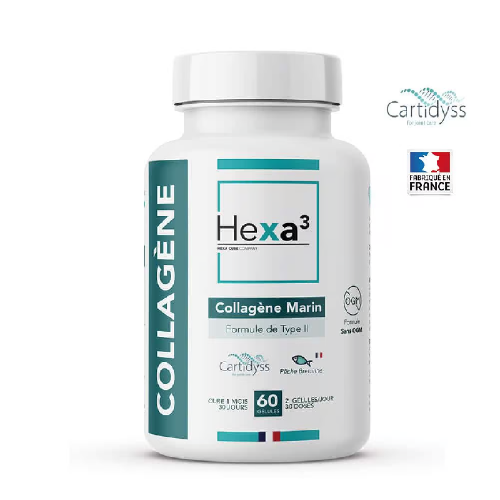 Collagène Marin Type II Cartidyss® – Articulations et Peau