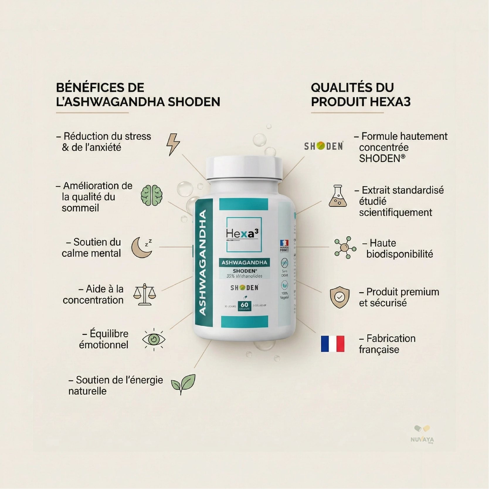 Ashwagandha Shoden® – Stress, Anxiété et Sommeil