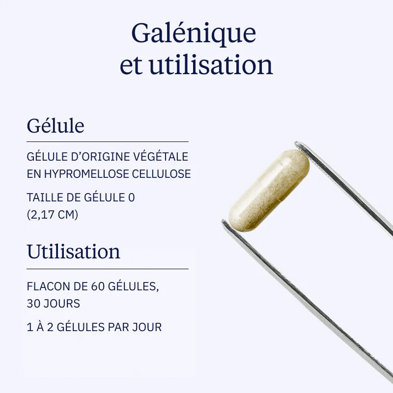 Complexe Fer et Vitamine C — Fer3
