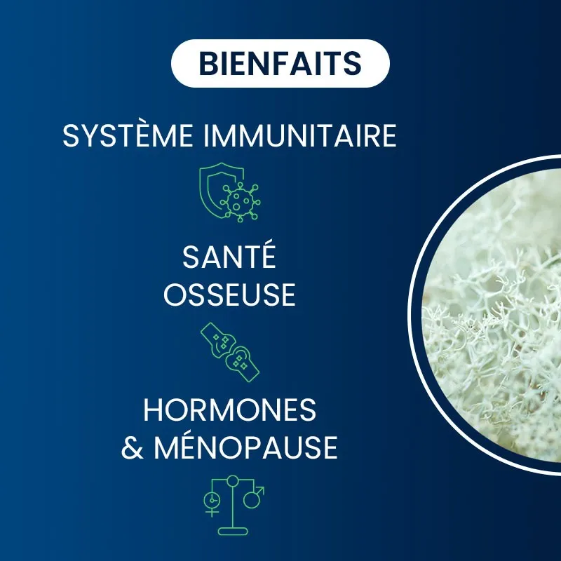 Vitamine D3 Végétale 2000 UI