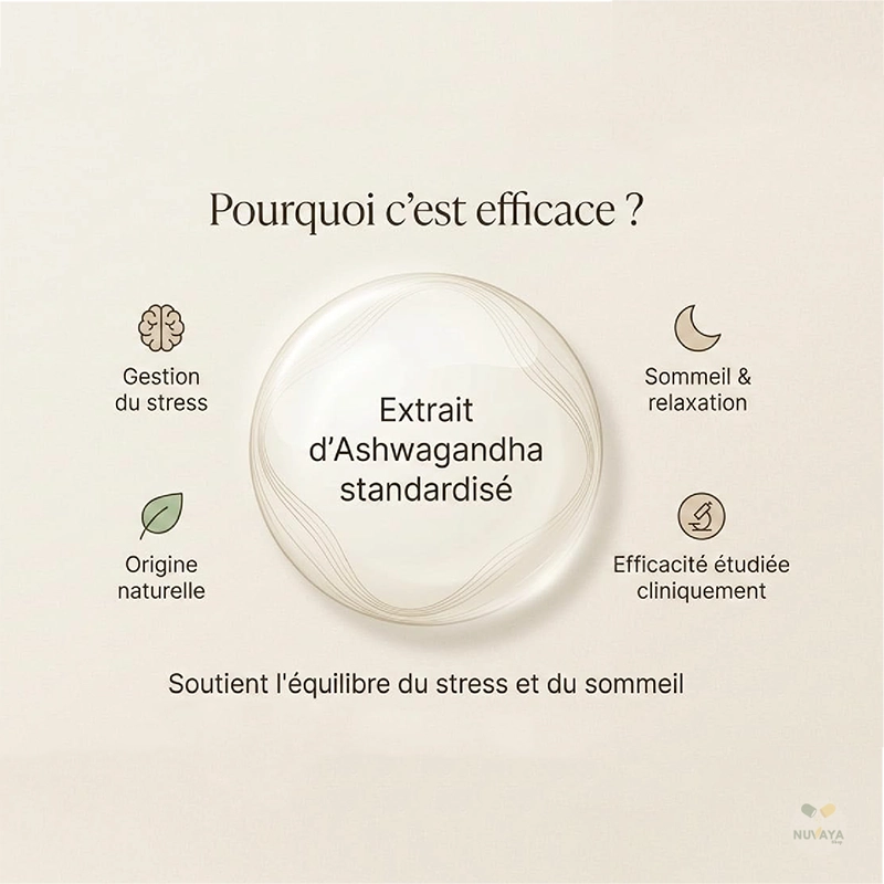 Ashwagandha Shoden® – Stress, Anxiété et Sommeil