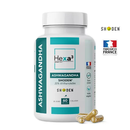 Ashwagandha Shoden® – Stress, Anxiété et Sommeil