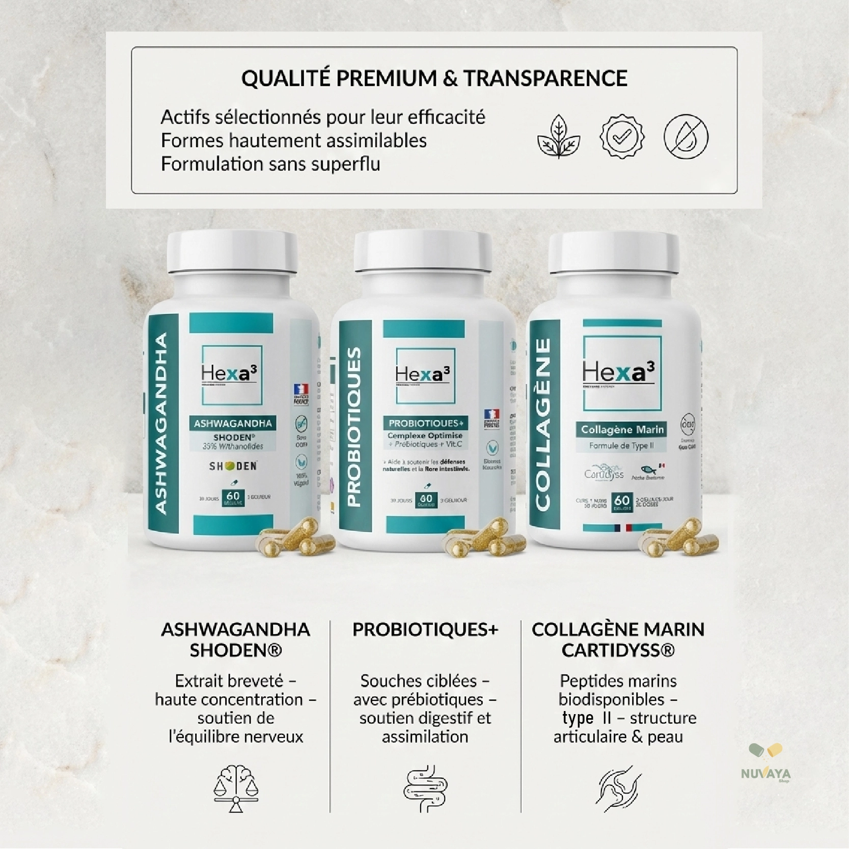 Pack Équilibre Essentiel