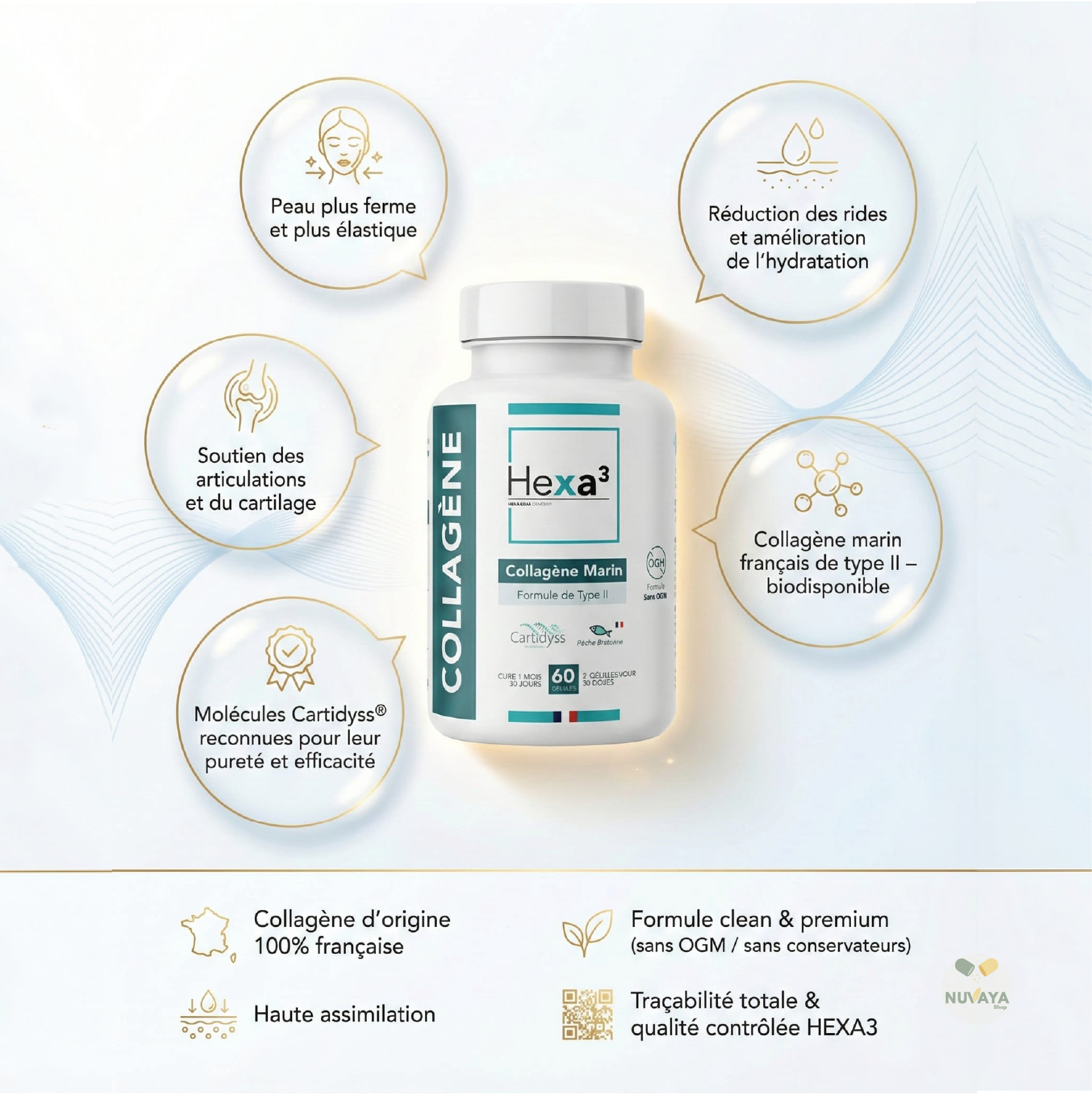 Collagène Marin Type II Cartidyss® – Articulations et Peau