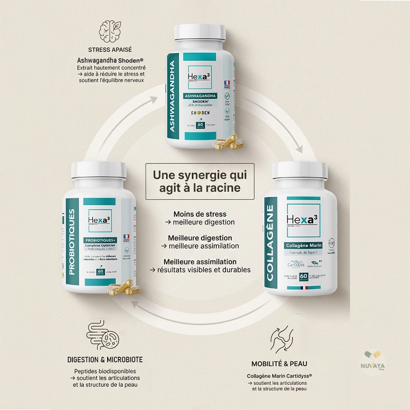 Pack Équilibre Essentiel