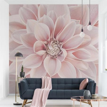 المنزل والمطبخ