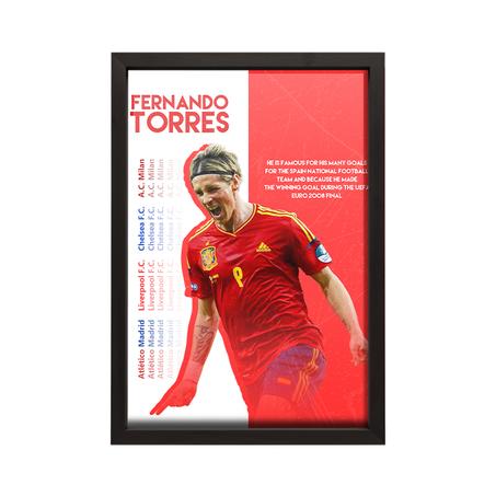 Fernando Torres