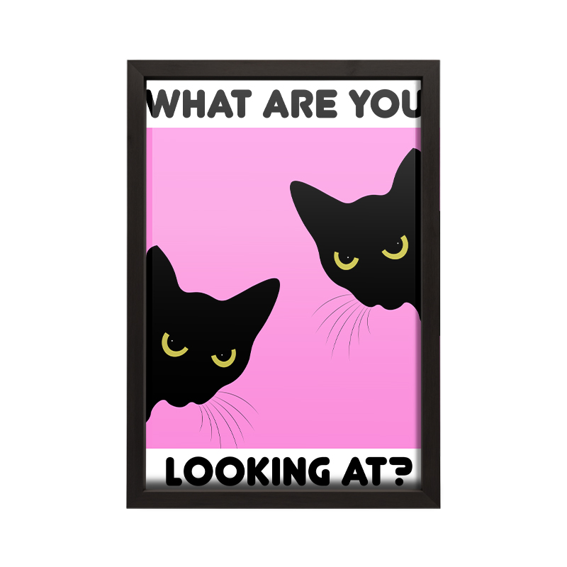Cats