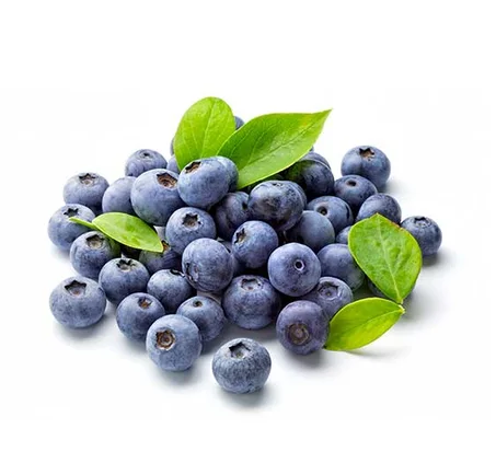 1 Tarrina Arándanos (120g)