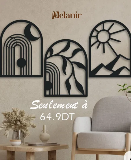 3 Tableaux decoratif  demi-cercle