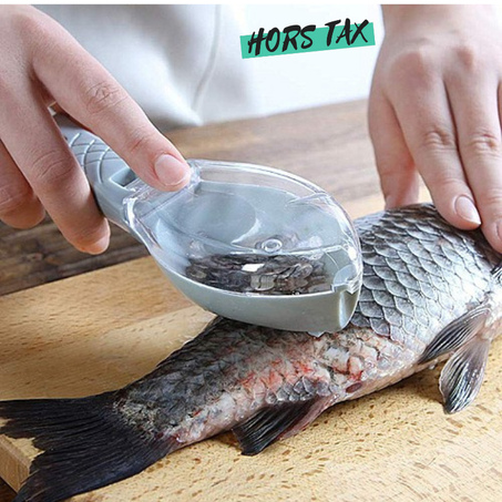 Practical Fish Scale Scraper with Cover