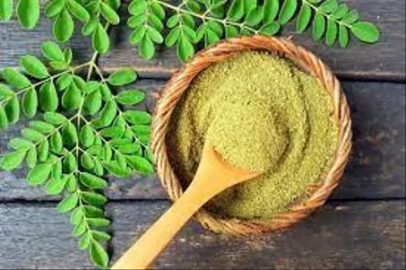 Thé moringa