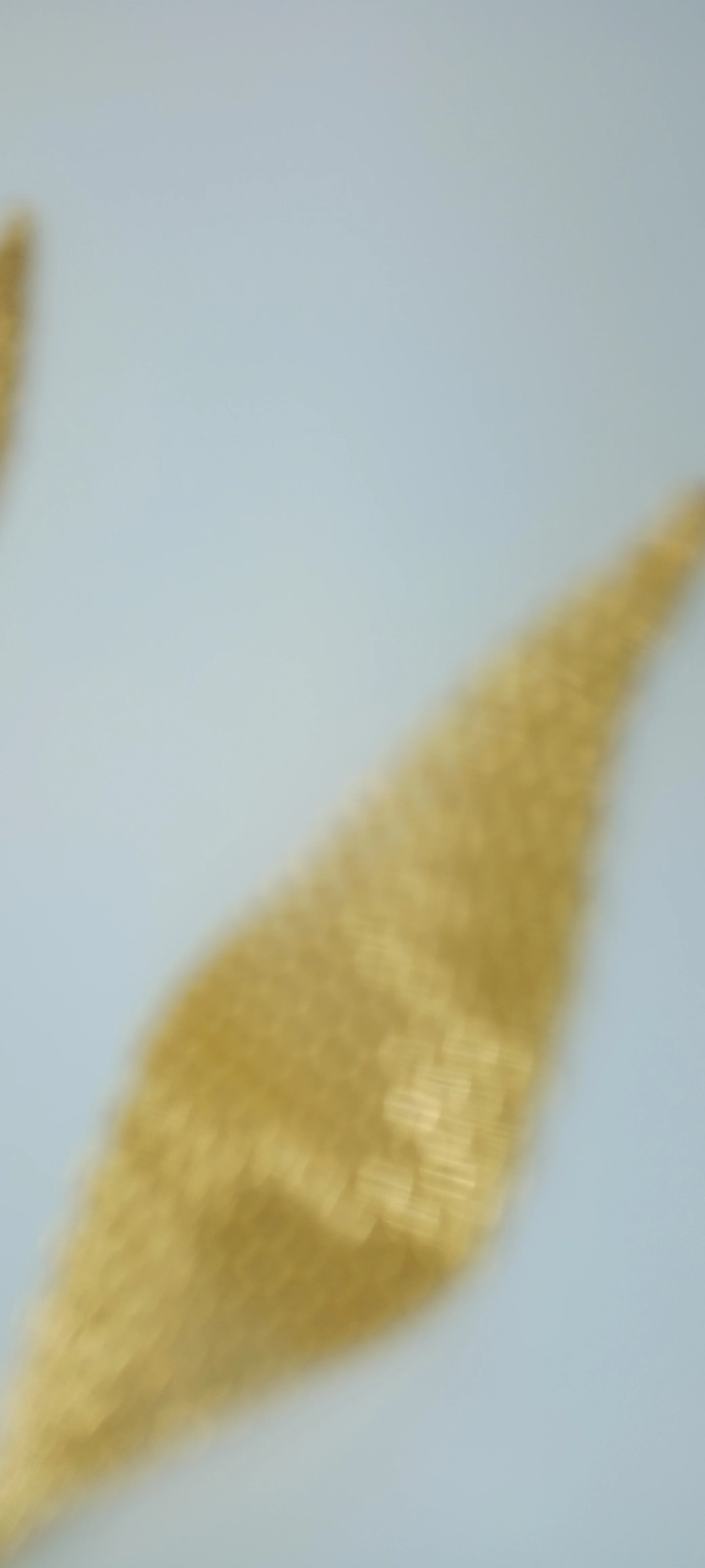 Fantaisie Doré BM-16012-2512