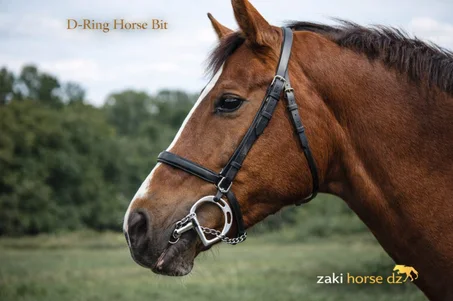 👉 لجام فم احترافي من الفولاذ – D-Ring Horse Bit (Premium Quality)