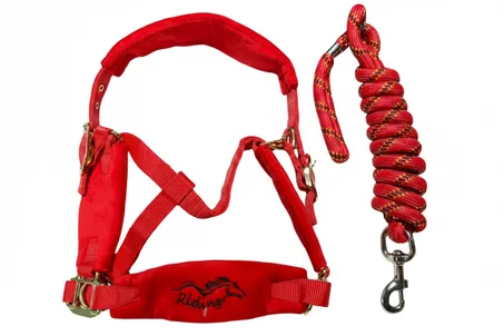 pack of the halter and lead rope