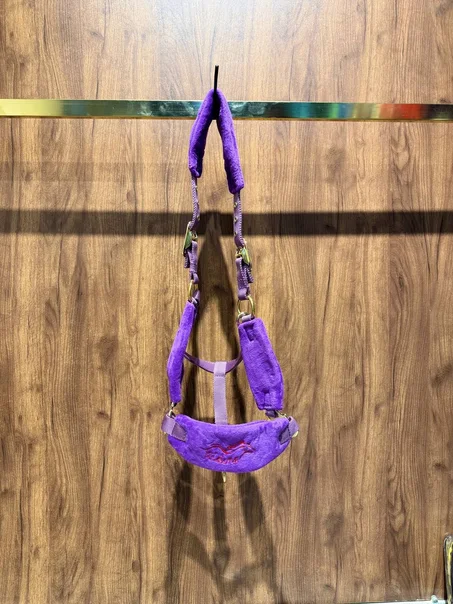 Premium Padded Horse Halter 🐎 رصن مبطن – راحة وتحكم مثالي