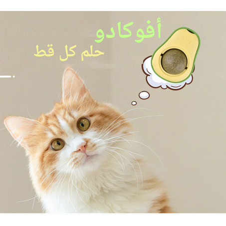 أفوكادو 🥑 هرمون السعادة للقطط