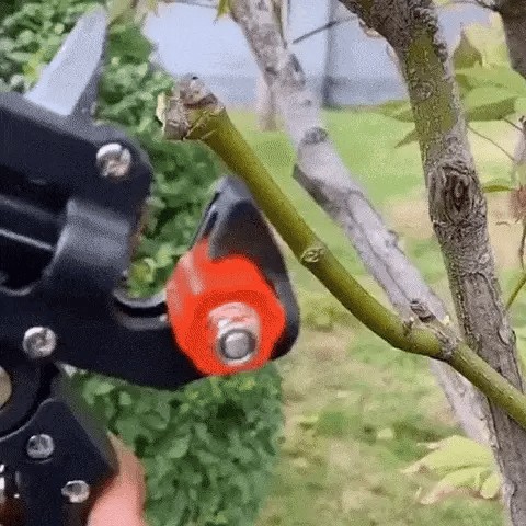 مقص الحدائق لتقليم و تطعيم الأشجار