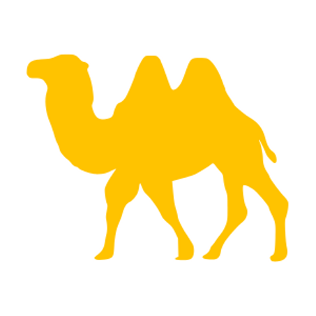 camel riding