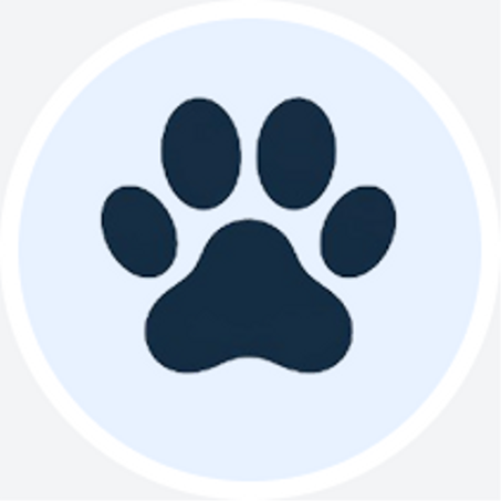 عناية بالحيوانات الأليفة