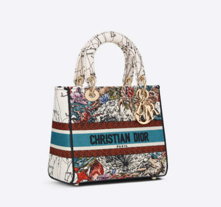 Latte Multicolor Dior Constellation Embroidery