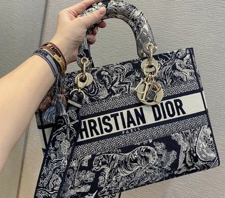 Christian Dior Lady D-Lite Bag Embroidered Canvas
