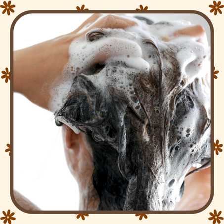 منتجات الشامبو