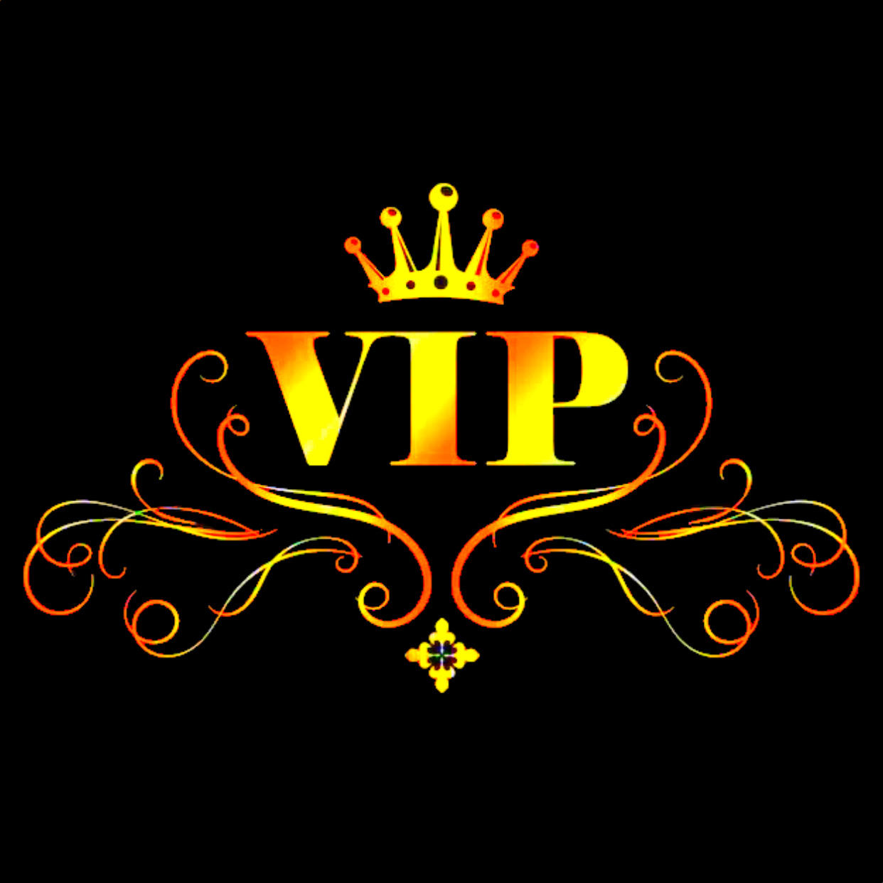 Vipmorocco