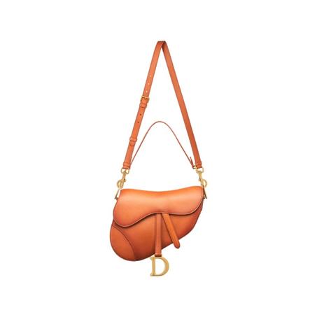 DIOR SADDLE BAG WITH STRAP BROWN