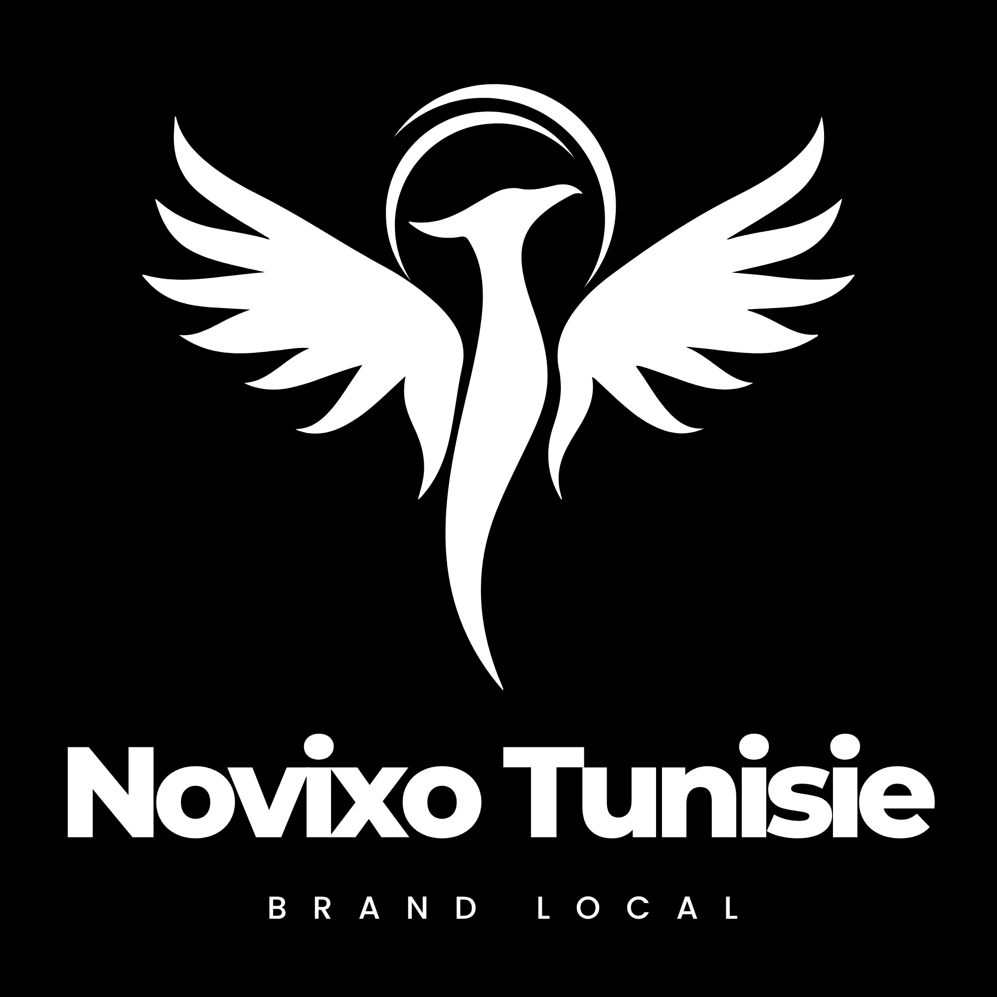 Novixo1