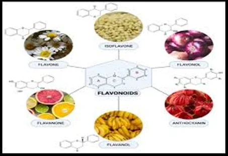 مركبات علاجية