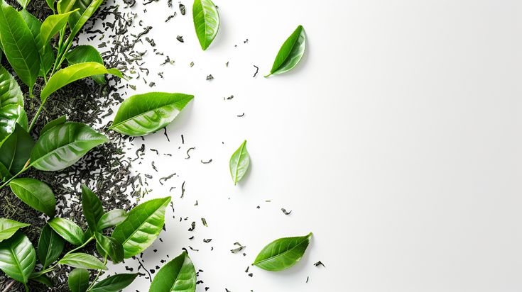 مكملات تدعم صحة البشرة