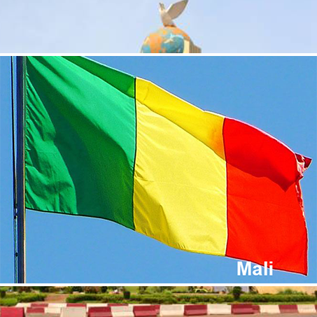 Devenir partenaire Longrich au Mali