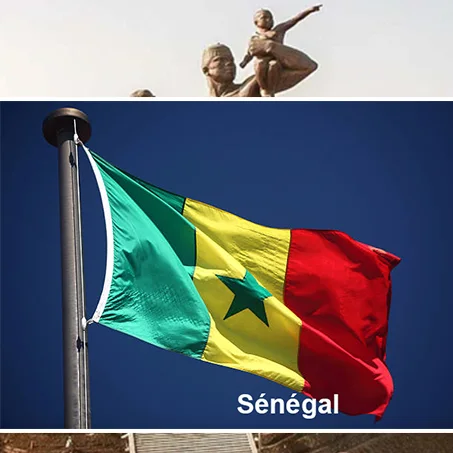 Devenir partenaire Longrich au Sénégal