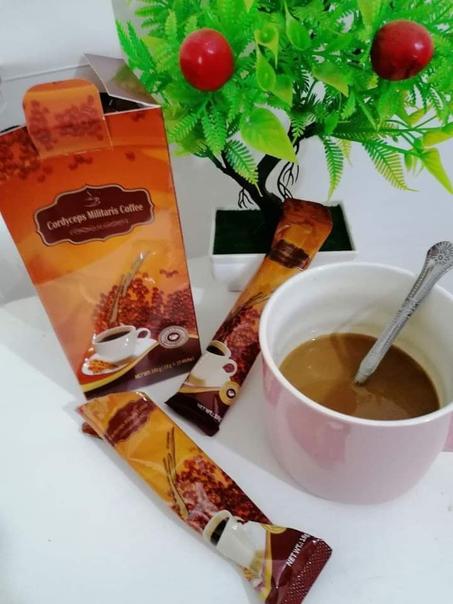 Café Cordyceps (café décaféiné)