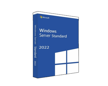 MICROSOFT WINDOWS SERVER STANDARD 2022 (P73-08329)