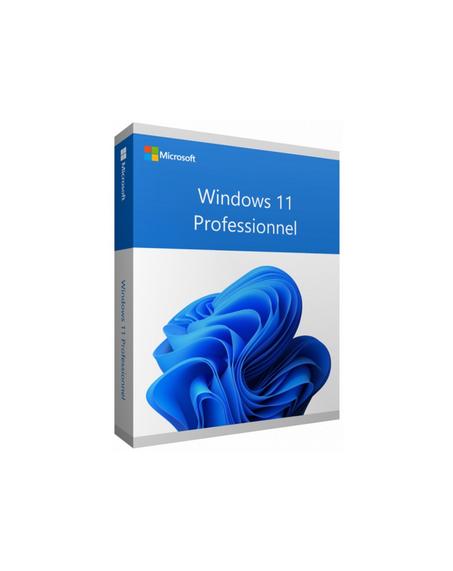 Microsoft Windows 11 Professionnel 64 bits Français (Licence originale + DVD) (FQC-10532)