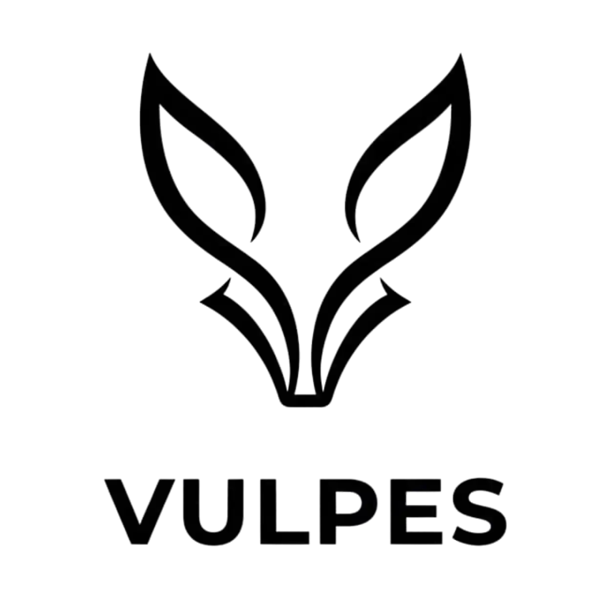 vulpes-maroc