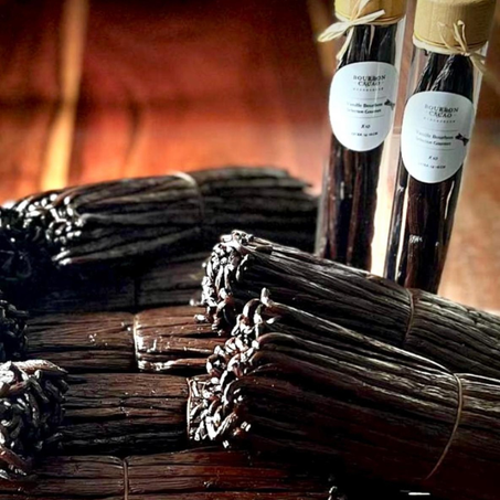 5 قرون الفانيليا بوربون غورميه غراند كرو من مدغشقر - بريستيج 16 - 18 سم