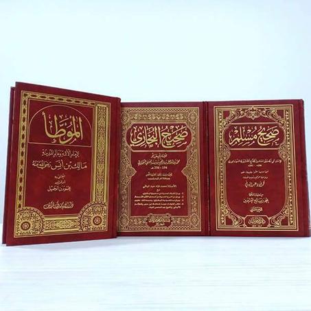 سلسلة الحديث من 7 مجلدات